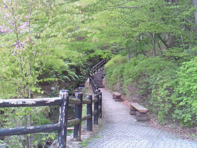 森林館に続く階段の歩道